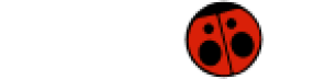 Carolina 99.3